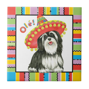 Carreau Fiesta Havanese