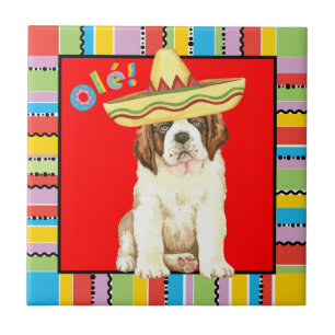 Carreau Fiesta St Bernard