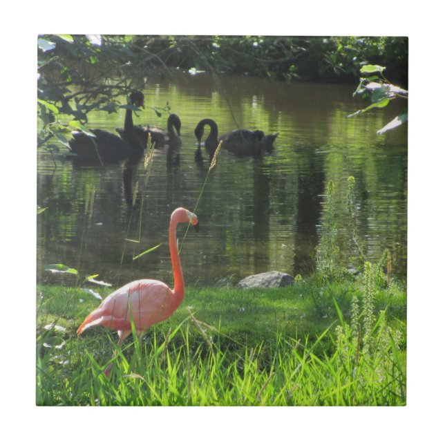 Carreau Flamant rose (Devant)