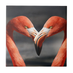 Carreau Flamant rose Valentine