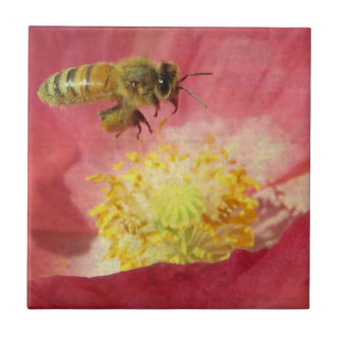 Carreau Fleur d'abeille et de pavot