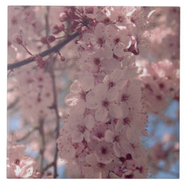 Carreau Fleur de cerisier Japon rose floral assez unique