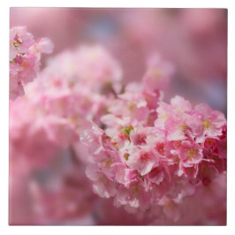 Carreau Fleur de cerisier Japon rose floral assez unique C