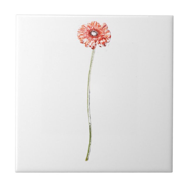 Carreau Fleur de Gerbera rouge pâle (Devant)