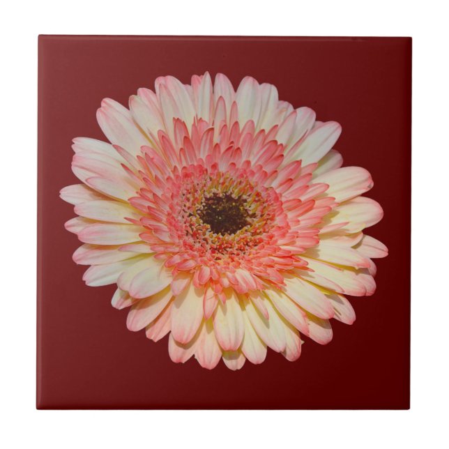 Carreau Fleur de germe rose simple (Devant)