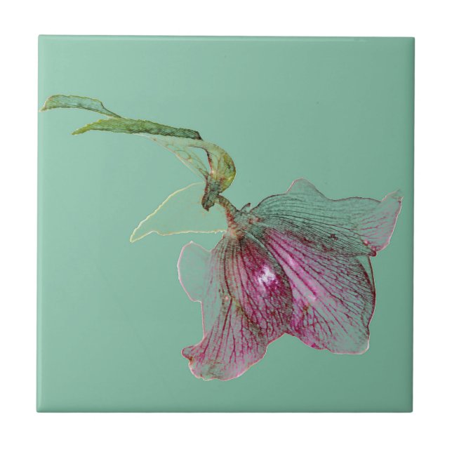Carreau Fleur de Hellebore sur la turquoise verte en bon (Devant)