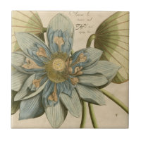 Fleur de Lotus Bleu sur Arrière - plan Tan avec éc