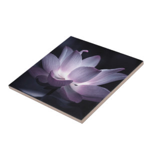 Carreau Fleur de Lotus surlignée, photo fleurie décorative