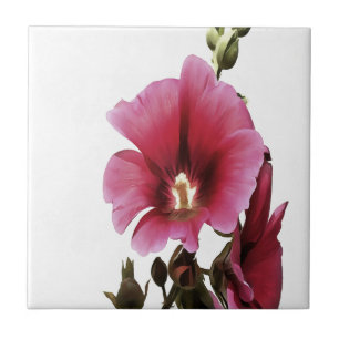 Carreau Fleur de Malva rose paradisiaque