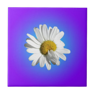 Carreau Fleur de marguerite blanche dégradé floral bleu vi