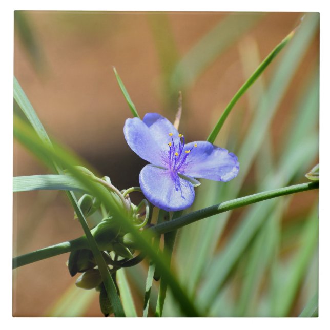 Carreau Fleur de verdure (Devant)