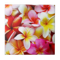 Fleur d'Hawaï de Frangipani de Plumeria customisée