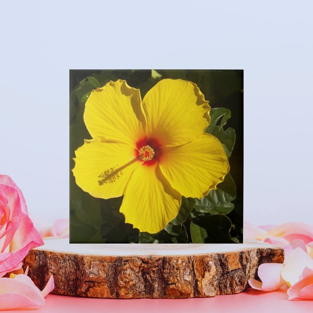 Carreau Fleur d'Hibiscus jaune (Yellow Hibiscus Flower Ceramic Tile)