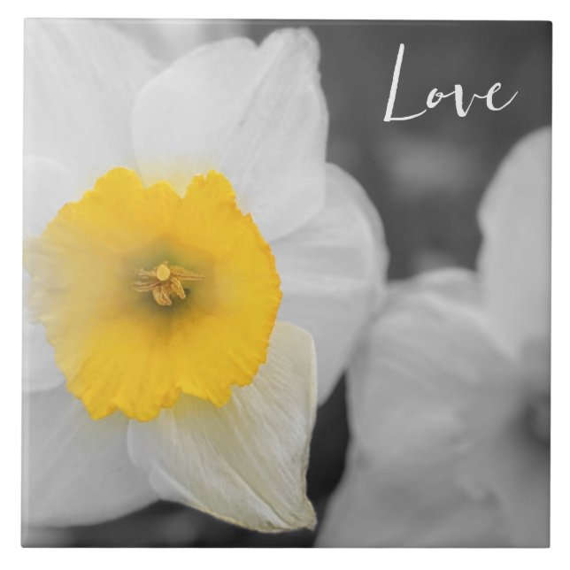 Carreau Fleur du matin dans l'amour (Devant)