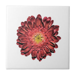 Carreau Fleur marguerite rouge