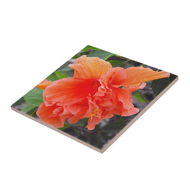 Carreau Fleur orange froissée (Côté)