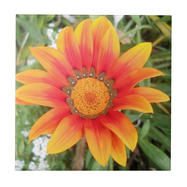 Carreau Fleur Orange Simple (Devant)
