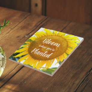 Carreau Fleur où vous êtes planté Tournesol Jaune