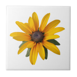 Carreau Fleur Pays Jaune Jaune Jaune