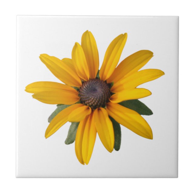 Carreau Fleur Pays Jaune Jaune Jaune (Devant)