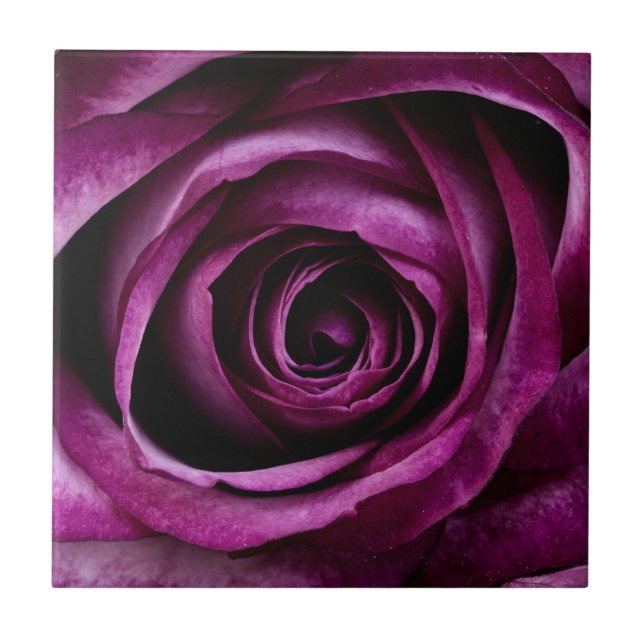Carreau Fleur Rose violet (Devant)