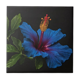 Carreau "Fleur Serene : La beauté des fleurs d'Hibiscus bl