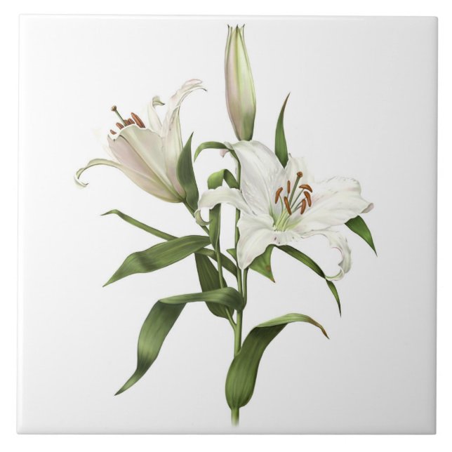 Carreau Fleurs blanches asiatiques Lily Art botanique (Devant)