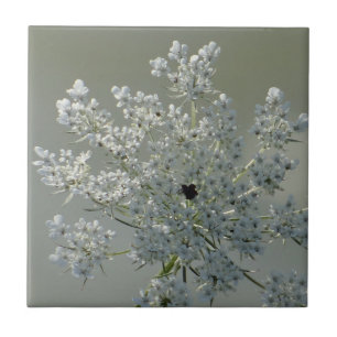 Carreau Fleurs blanches délicates