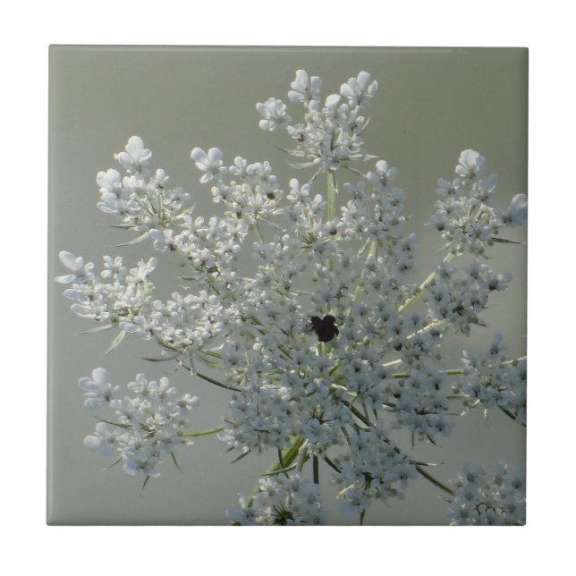Carreau Fleurs blanches délicates (Devant)