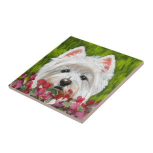 Carreau Fleurs blanches et roses