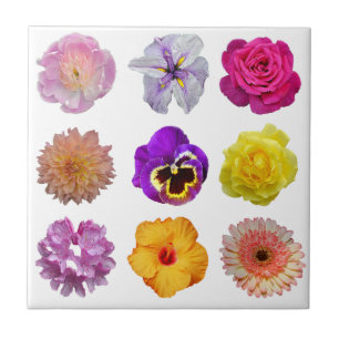 Carreau Fleurs colorées