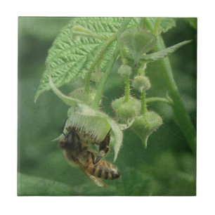 Carreau Fleurs d'abeilles et de framboises