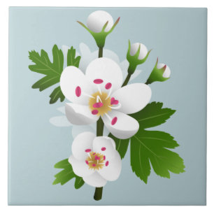 Carreau Fleurs de Hawthorn