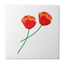 Fleurs de pavot rouge