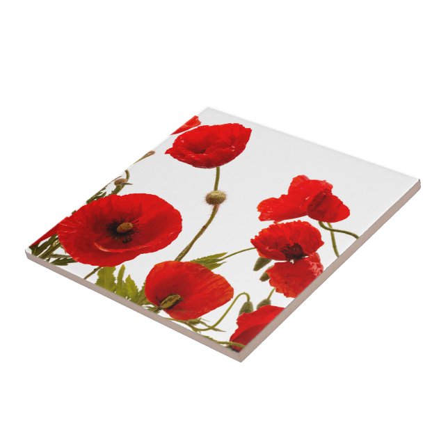 Carreau Fleurs de pavot rouge floral Arrière - plan blanc  (Côté)