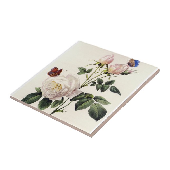 Carreau fleurs de rose blanche, Pierre Joseph Redouté (Côté)