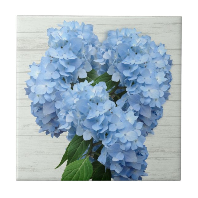 Carreau Fleurs d'hydrangée bleu clair (Devant)