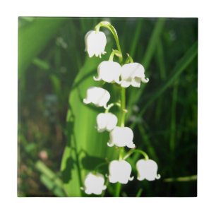 Carreau Fleurs du muguet