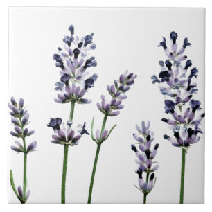 Carreau Fleurs florales pourpres de Lavendar   en pastel