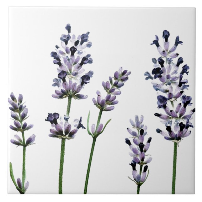 Carreau Fleurs florales pourpres de Lavendar | en pastel (Devant)