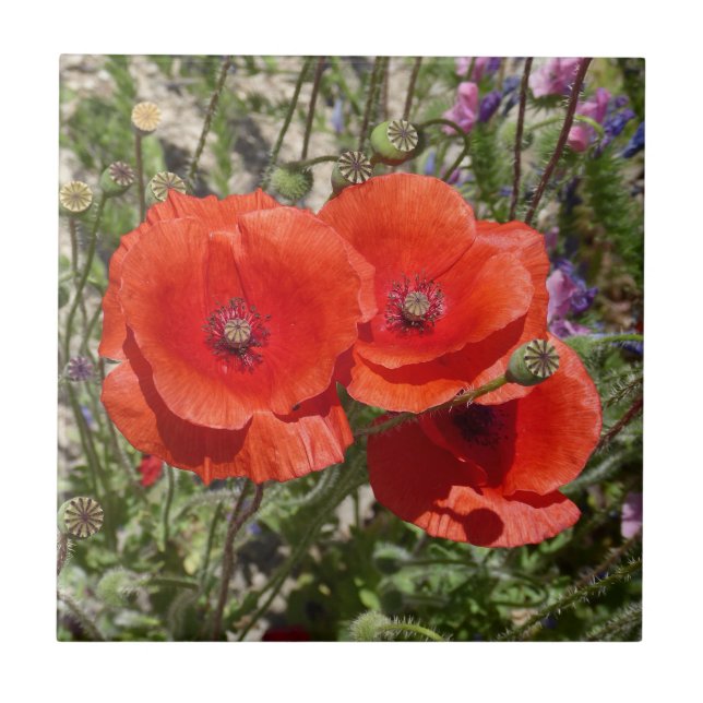 CARREAU FLEURS POPPY (Devant)