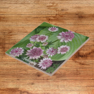 Carreau Fleurs roses d'Astrantia Floral