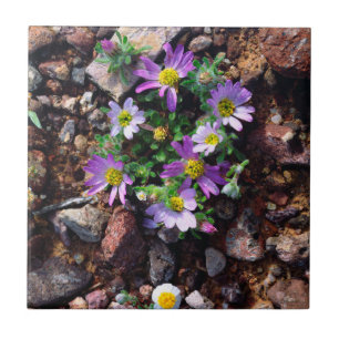 Carreau Fleurs sauvages