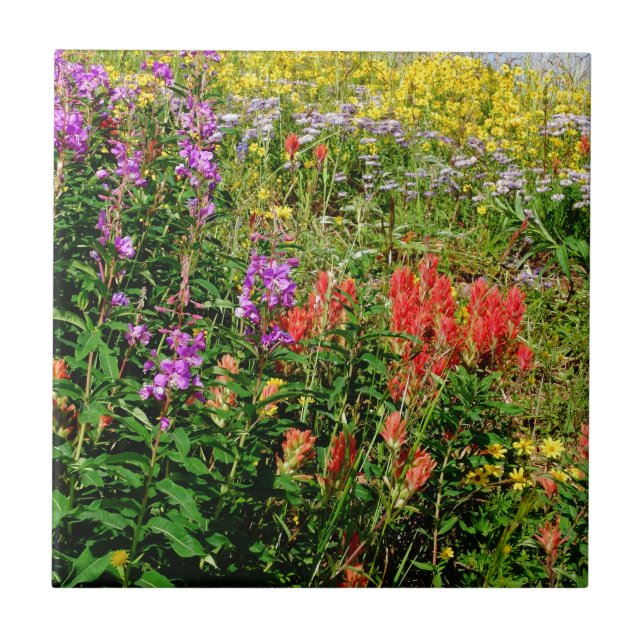 Carreau Fleurs sauvages des Rocheuses (Devant)
