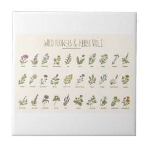 Carreau Fleurs sauvages et herbes