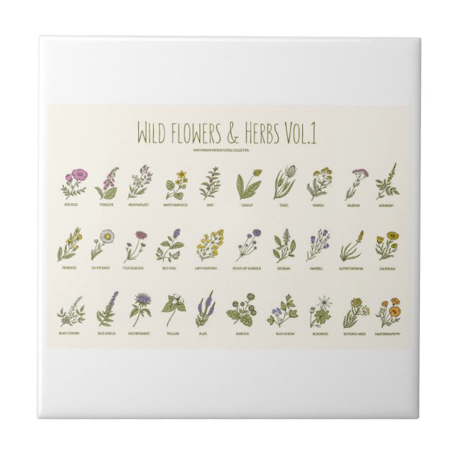 Carreau Fleurs sauvages et herbes (Devant)