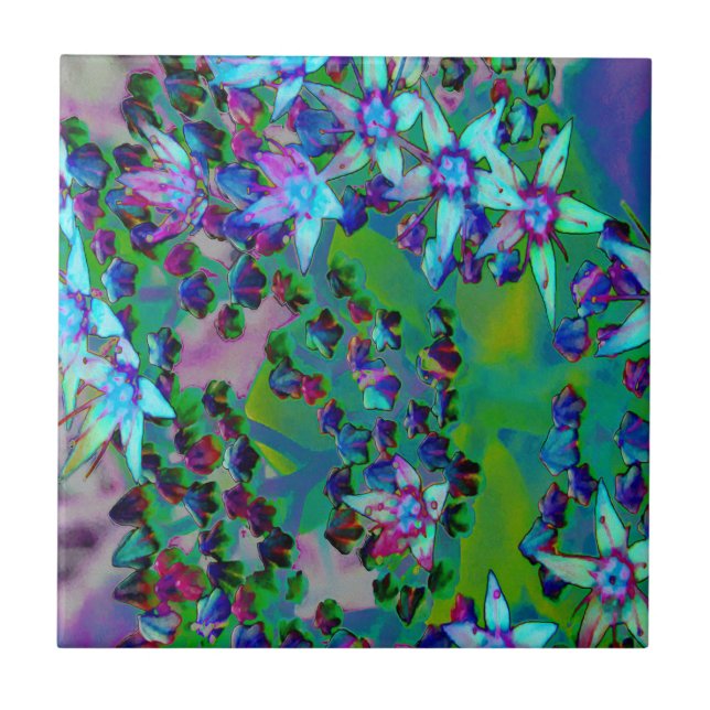 Carreau Fleurs Succulentes Sedum en Aqua, Violet et Bleu (Devant)