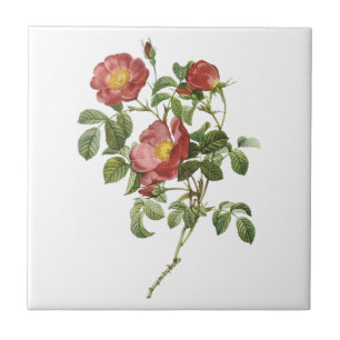 Carreau Fleurs vintages Rose florale rouge de l'amour par 