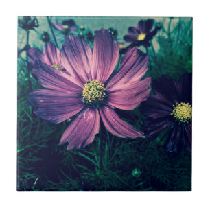 Carreau Fleurs Violet Foncé Photo Art