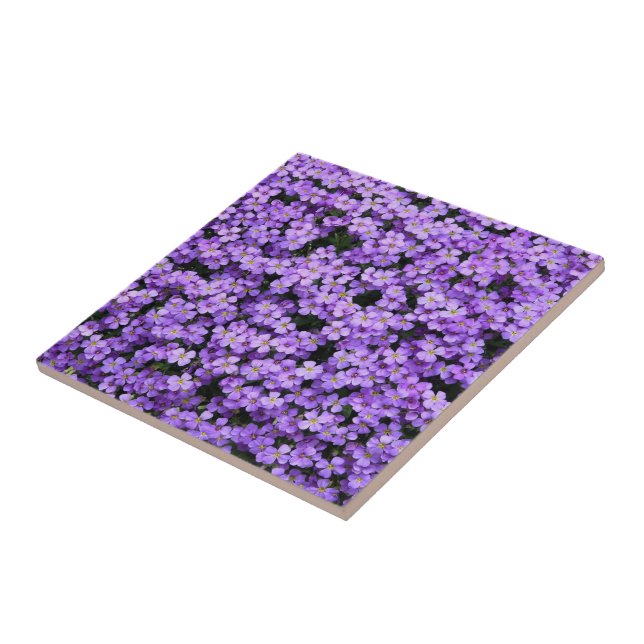 Carreau Fleurs - Violets - Belle (Côté)